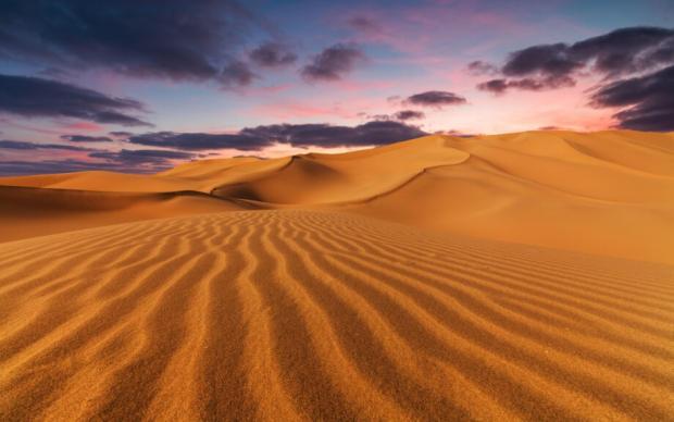 Справжній прорив! Норвежці навчилися за лічені години перетворювати пустелю на родюче поле