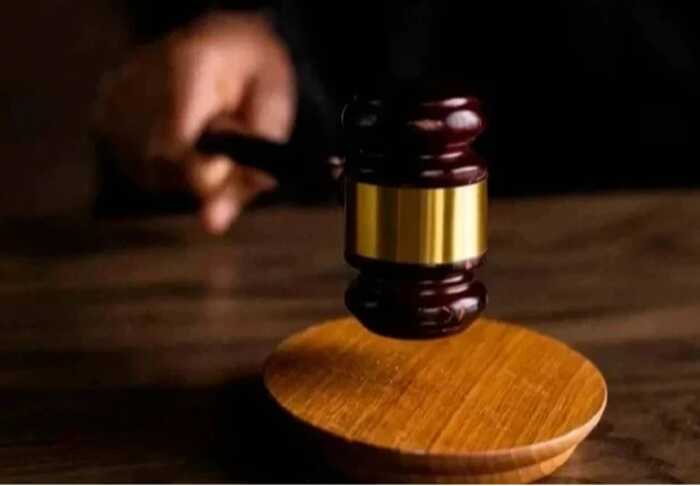 На Буковині суд оштрафував водія за спробу вивезти до Румунії «шкури пітонів», які виявилися підробкою